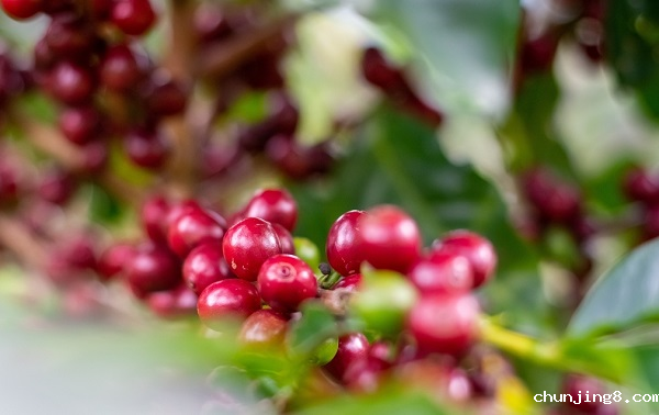 1634699665350256.png 1634699665350256.png