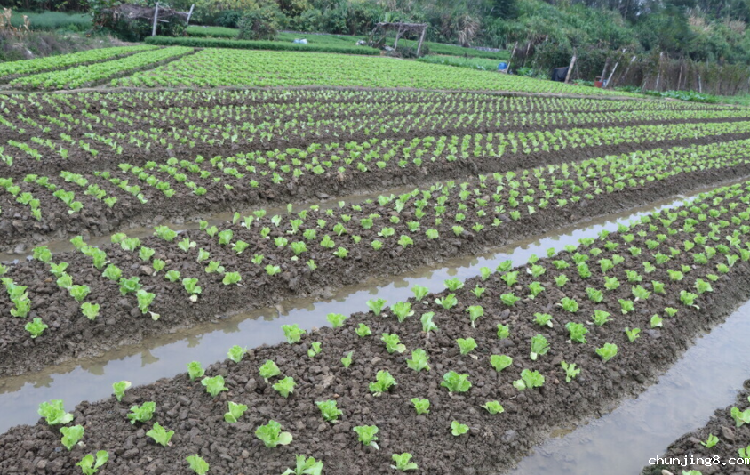 土壤肥料养分分析仪:揭秘应用范围与功能 土壤肥料养分分析仪:揭秘应用范围与功能