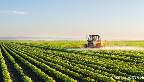农药残留检测仪守护消费者菜篮子安全 农药残留检测仪守护消费者菜篮子安全