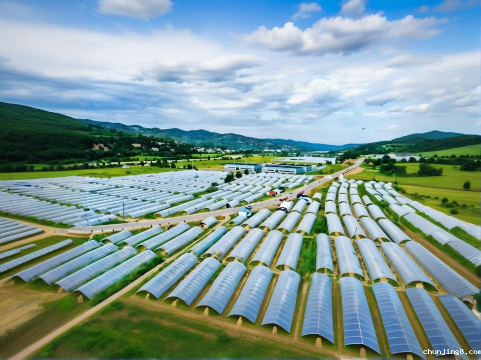 农药残留检测仪走进蔬菜基地，Betway体育外围检测仪助力寿光市蔬菜安全
