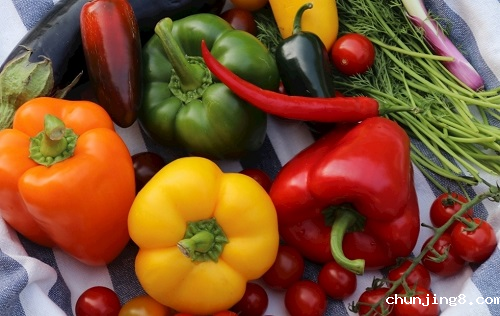 食品安全检测仪在保证食品质量方面有哪些优势?