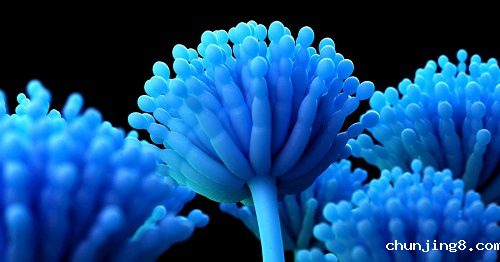 食品安全关乎我们健康，使用仪器快速检测防止不健康的产品