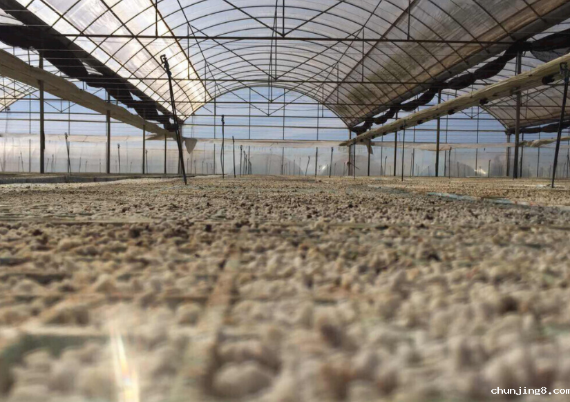 土壤团粒分析仪的配置，土壤团粒分析仪的操作步骤