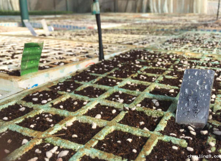 土壤氧化还原电位测定仪:解读适用范围与土壤类型