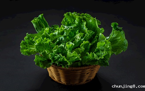 农残仪器：全自动农药残留物检测仪/多功能食品安全检测仪/农药残留快速检测仪