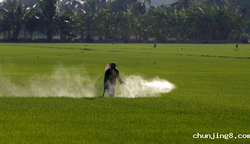 全自动农药残留检测仪的功能特点有哪些？
