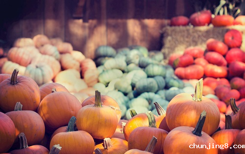 科学仪器的支持---农药残留检测仪对农业生产的重要性！