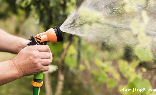 蔬果买回用农残检测仪测一测，食品安全更放心!