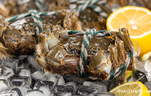 隔夜蟹、死螃蟹到底能不能吃？小心菌落总数激增