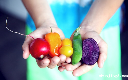 食品安全仪器的检测对象包括哪些？