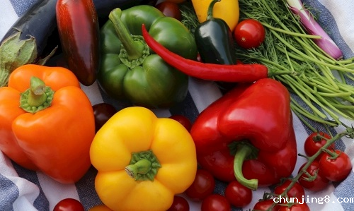 全面的检测仪器--食品安全检测仪保障农产品安全