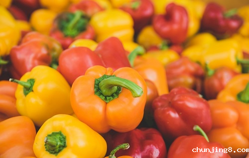 多功能食品安全检测仪器都配备哪些功能？