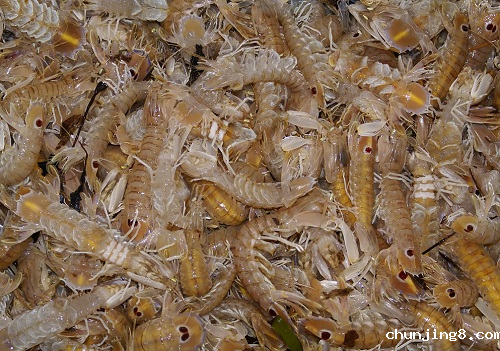 重金属污染引发食品安全 规范检测防治成重点