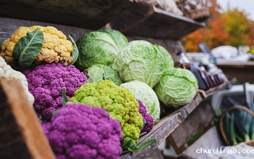 食品安全检测仪在保证食品质量方面有哪些优势？