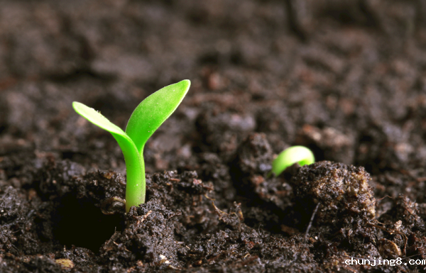 用于测量土壤湿度的工具—土壤湿度检测仪