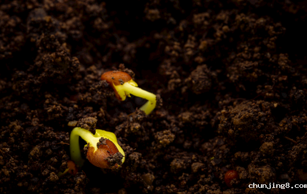 提升农作物生产！肥料养分含量测定仪帮您准确分析土壤和肥料